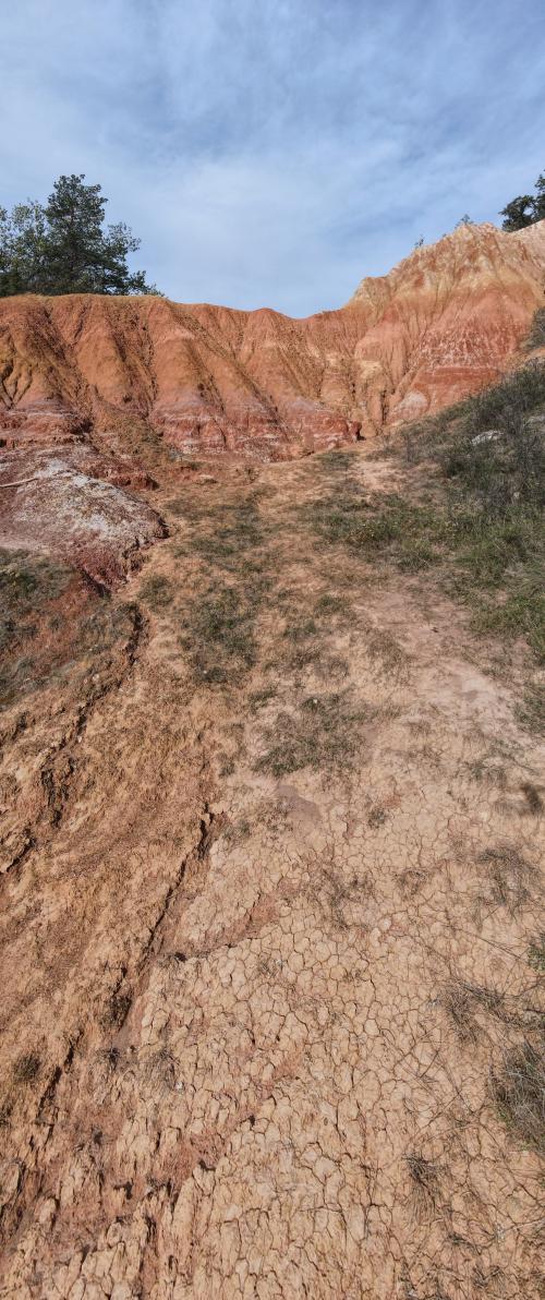 DJI_1663.JPG